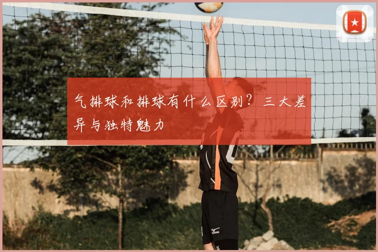 气排球和排球有什么区别？三大差异与独特魅力