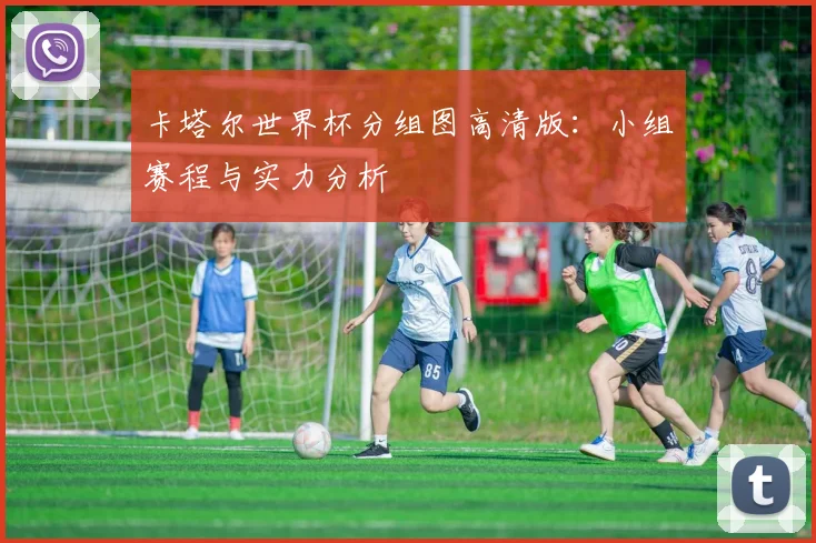 卡塔尔世界杯分组图高清版：小组赛程与实力分析